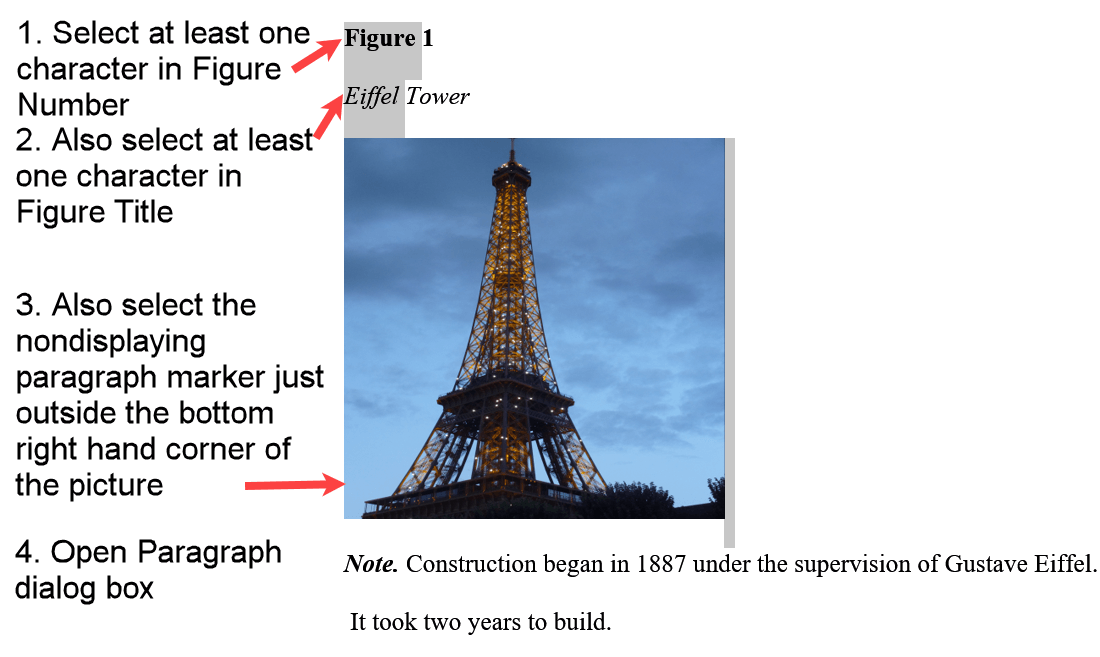 Select multiple paragraphs in Word in an APA figure without displaying the paragraph markers