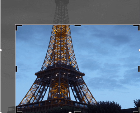 Cropped picture in Word of Eiffel Tower showing the cropped area