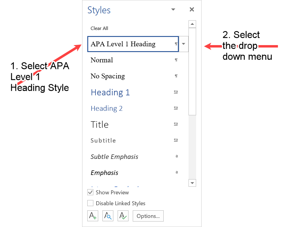 The Word styles in the document including the APA Level 1 Heading.