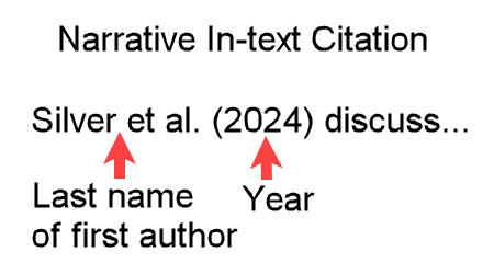 Example "Silver et al. (2024) discuss" showing an APA-formatted narrative in-text citation for four authors