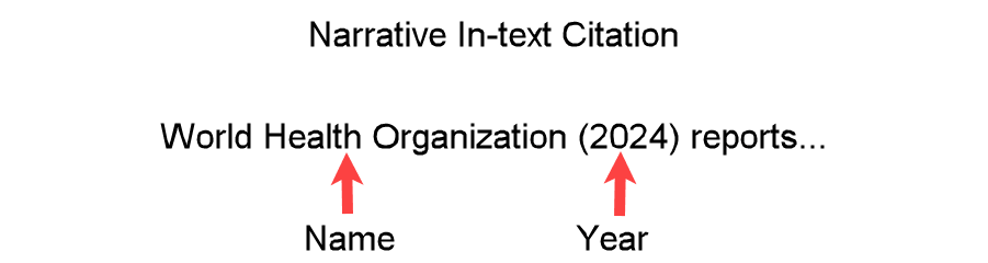Example "World Health Organization (2024)" showing an APA-formatted narrative in-text citation with a year date