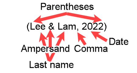 Example (Lee & Lam, 2022) showing a parenthetical APA in-text citation for two editors