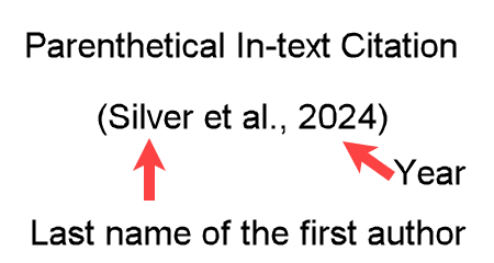 Example "(Silver et al., 2024)" showing an APA-formatted parenthetical in-text citation for four authors