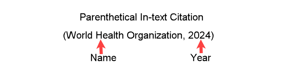 Example (World Health Organization, 2024) showing an APA-formatted parenthetical in-text citation with a group author