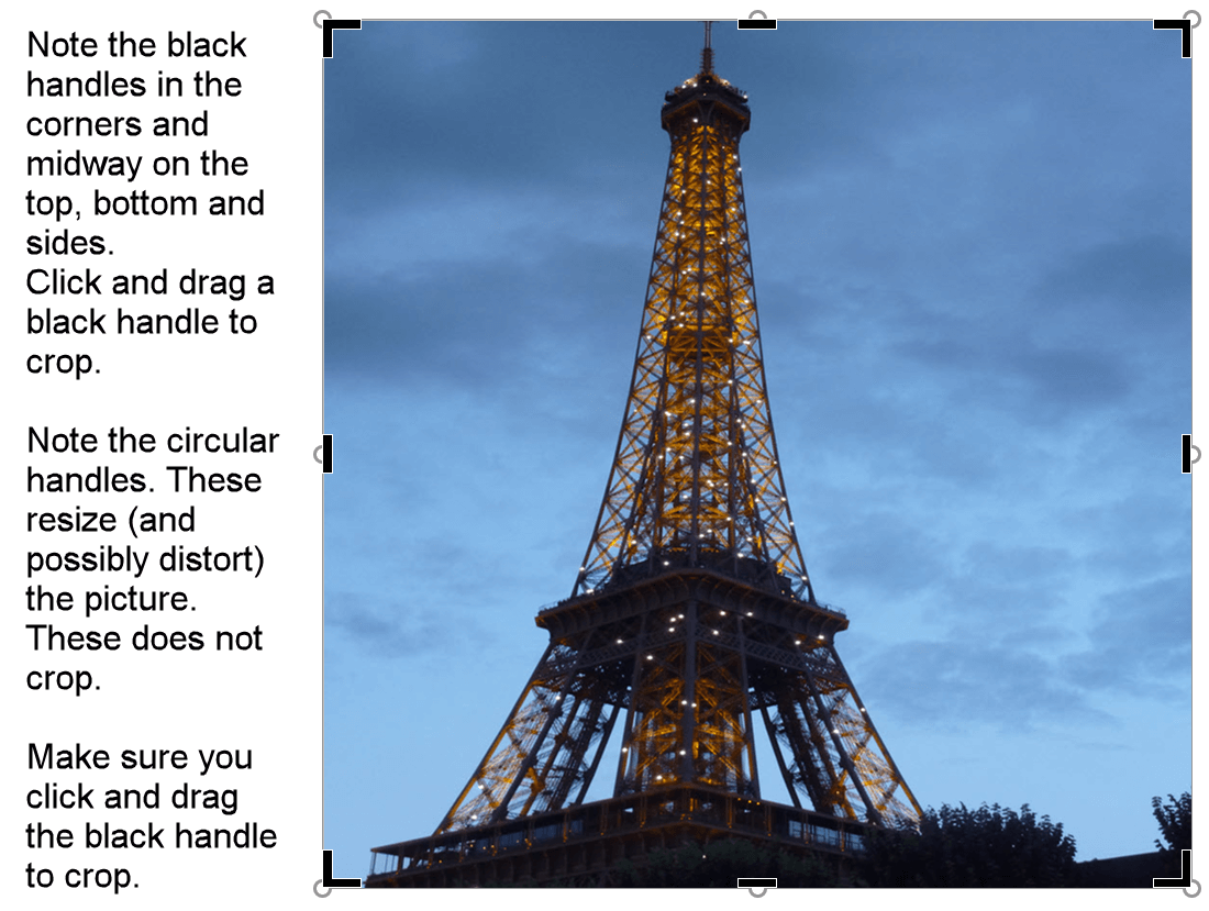 Picture of Eiffel Tower in Word with cropping handles
