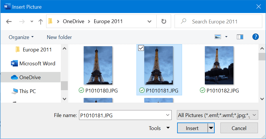 Selecting a a picture file using the Word Insert Picture function