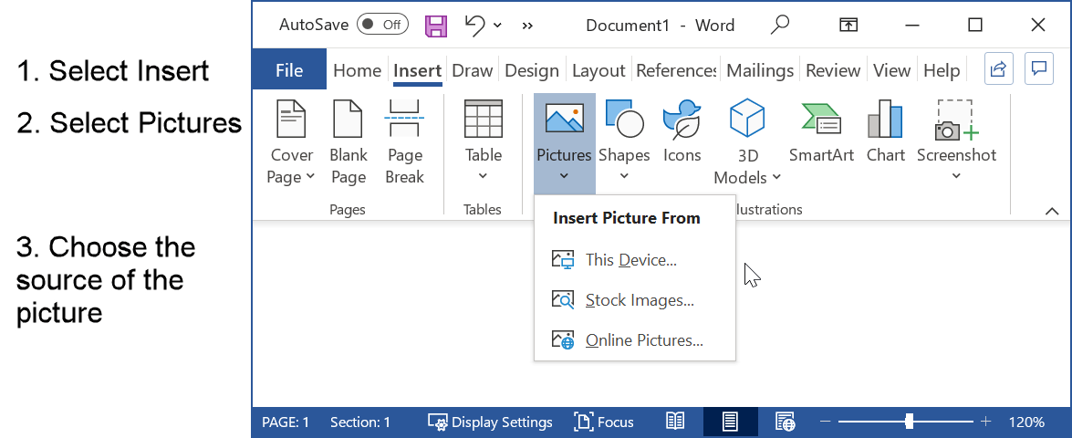 How to insert a picture in Word