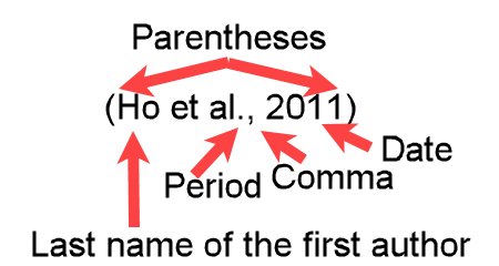 Example (Ho et al., 2011) showing a parenthetical APA in-text citation for twenty plus authors