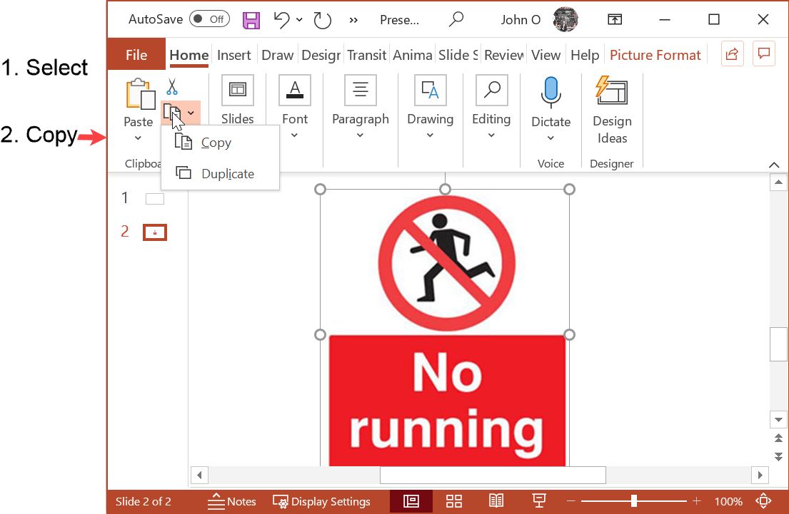 PowerPoint slide with a picture selected for copying to a Word document